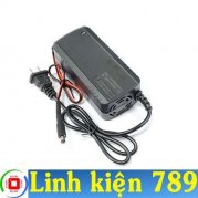 Sạc pin máy khoan 16.8V Pin Lithium 4S 3.7V 16.8V 3A Jack DC tự ngắt khi đầy